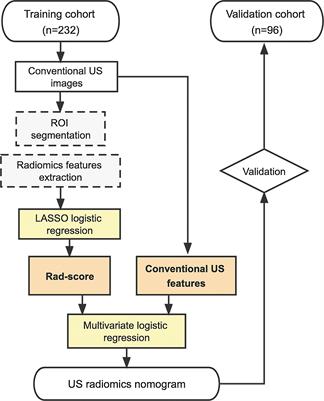 Nomogram based on radiomics analysis of ultrasound images can improve preoperative BRAF mutation diagnosis for papillary thyroid microcarcinoma